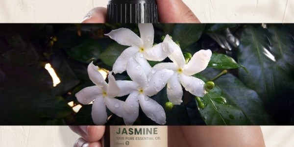 Jasmine Essential Oil: Aroma Elegan, Manfaat Sejati untuk Pikiran & Kulit