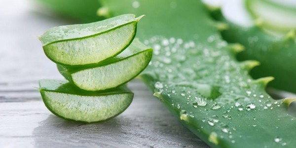 5 Manfaat Aloe vera untuk Kesehatan Kulit dan Rambut, Apa Saja?