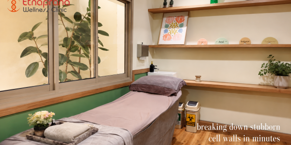 Lemak Membandel? Kenali Penyebab dan Solusinya di Etnaprana Wellness Clinic