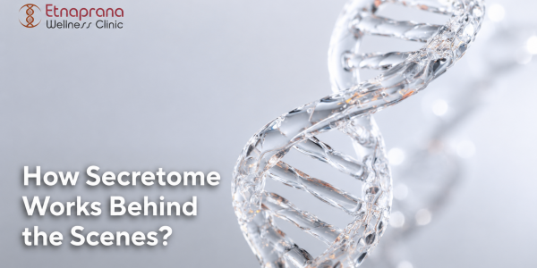 Perbedaan Secretome vs Exosome: Mana yang Cocok untuk Kebutuhan Anda?