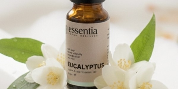 Mengapa Manusia Membutuhkan Eucalyptus, Peppermint, dan Tea Tree Essential Oil?